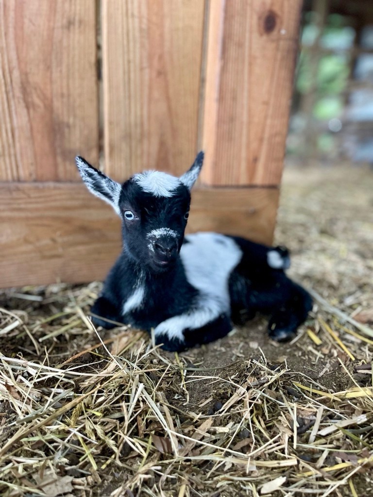 558d1224-9b19-439b-b8a0-f0c59dcf2378